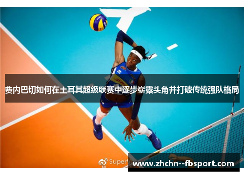 费内巴切如何在土耳其超级联赛中逐步崭露头角并打破传统强队格局